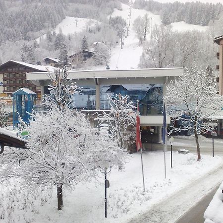 Haus Kleineisen By Chatel Reizen Zell am See Exterior foto